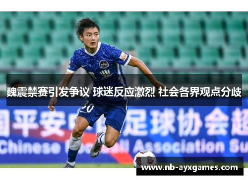 魏震禁赛引发争议 球迷反应激烈 社会各界观点分歧