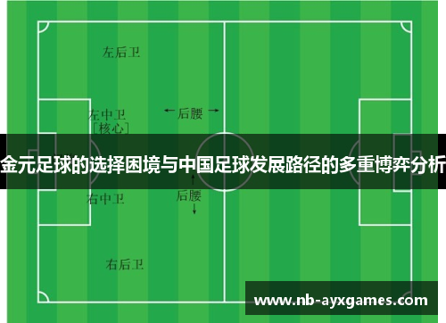 金元足球的选择困境与中国足球发展路径的多重博弈分析 金元足球的选择困境与中国足球发展路径的多重博弈分析