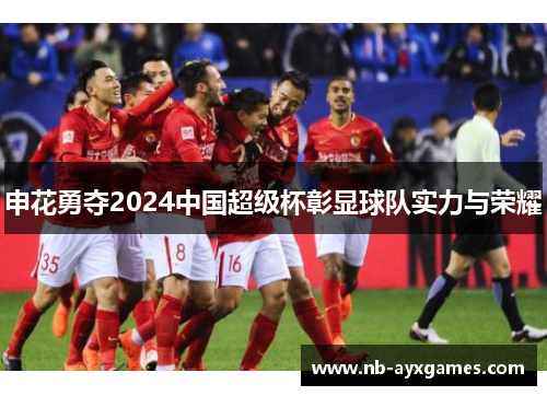 申花勇夺2024中国超级杯彰显球队实力与荣耀